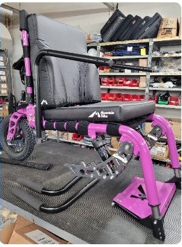 Signal Violet SD Motion Trike — brand new
